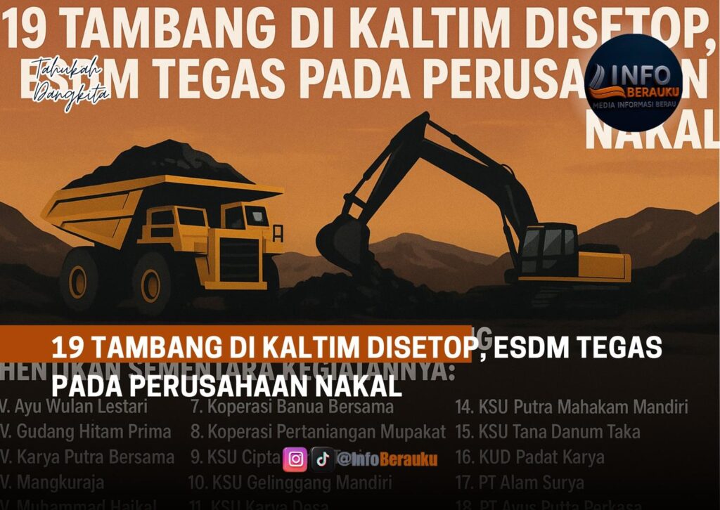 19 Tambang di Kaltim Disetop, ESDM Tegas pada Perusahaan Nakal