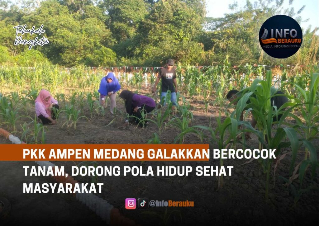 PKK Ampen Medang Galakkan Bercocok Tanam, Dorong Pola Hidup Sehat Masyarakat