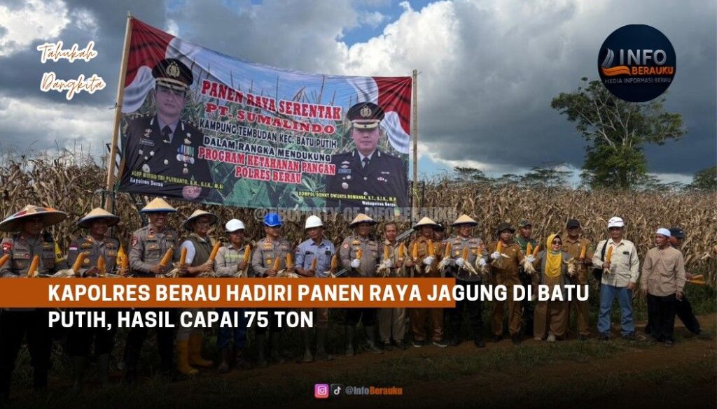 Kapolres Berau Hadiri Panen Raya Jagung di Batu Putih, Hasil Capai 75 Ton